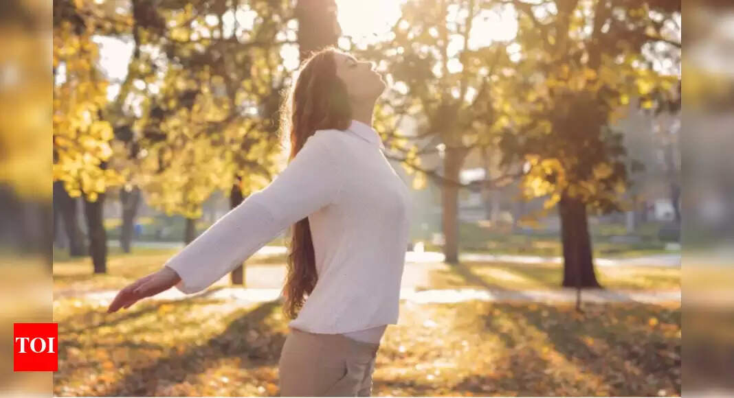 Vitamin D vs Vitamin D3: What’s the distinction |