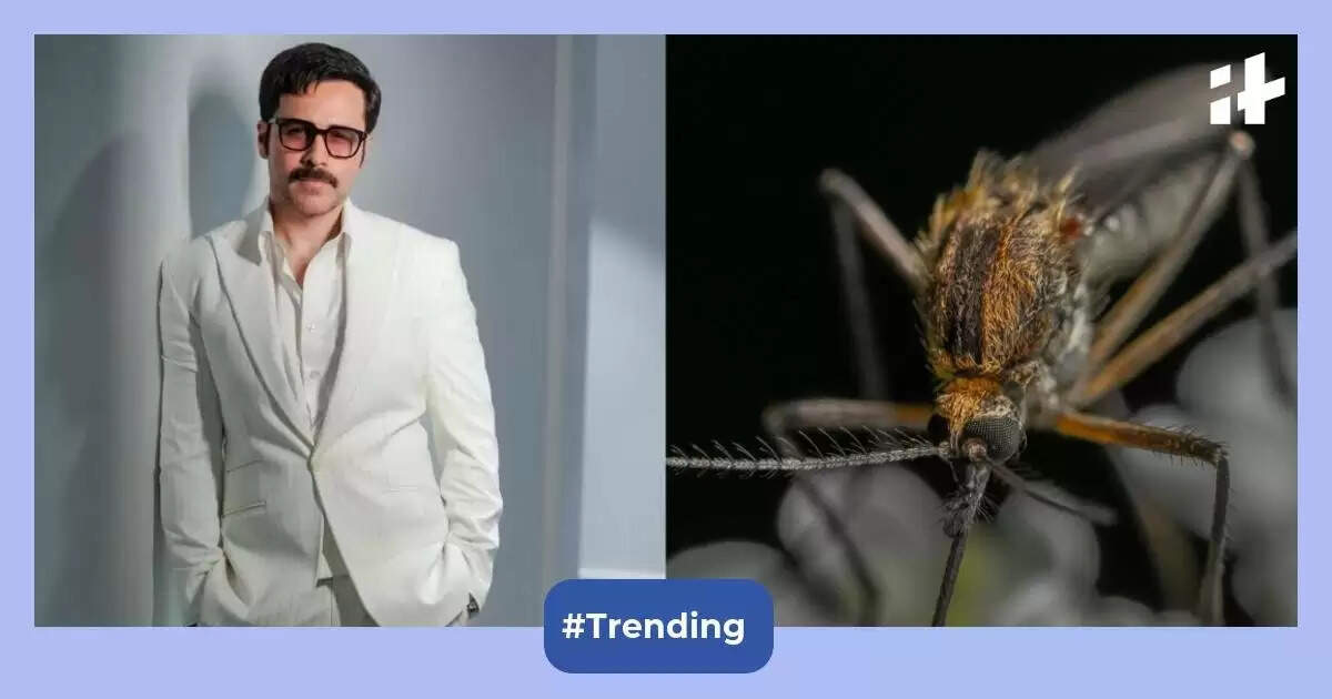 Emraan Hashmi exams optimistic for dengue throughout ‘OG’ shoot; consultants record signs amid early monsoon surge